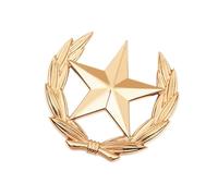 Elegante spilla a forma di orecchio di grano e stella, gioiello simbolico, a forma di stella, per abbigliamento casual o formale, simbolo della speranza, Small, come descritto