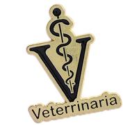 Elegante spilla in metallo a tema saggezza con motivo serpente personale accessorio fatto a mano per gli appassionati di stili spilla minimalista del personale serpente, Misura unica, come descritto