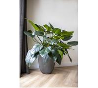 Capi Vaso Elegant Low - Groove - 34x46 cm - Antracite