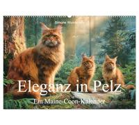 Eleganz in Pelz - ein Maine Coon - Kalender (Wandkalender 2027 DIN A2 quer), CALVENDO Monatskalender: Maine Coons im Kalender!