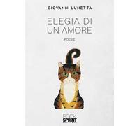 Elegia di un amore