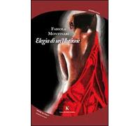 Elegia di un'illusione