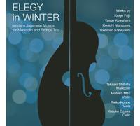 Elegie in Winter Modern Japane