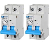 ELEKTRONOVA Interruttore Magnetotermico 2P C40 40A 6kA - 2 Moduli DIN - 220V (Confezione da 2)