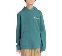 Element Blazin Chest (Giovane) Felpa Con Cappuccio - North Atlantic