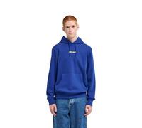Element Felpa con Cappuccio LOWCASE BP PO Uomo Blu