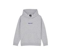 Element Felpa con Cappuccio LOWCASE BP PO Y Bambino Grigio
