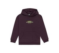 Element Skateboard - Pullover con Cappuccio da Ragazzo 8-16