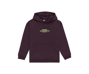Element Skateboard - Pullover con Cappuccio da Ragazzo 8-16