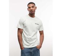 Element T-Shirt Manica Corta Blazin Chest SS Uomo Verde