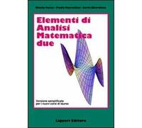 Elementi di analisi matematica 2. Versione semplificata per i nuovi corsi di laurea