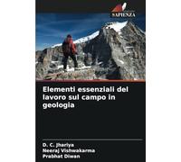 Elementi essenziali del lavoro sul campo in geologia