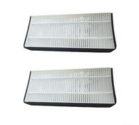 Elementi filtranti per proiettore FV10VE1 per FV10VEC1 per supportare il flusso d'aria più pulito e un funzionamento efficiente, 2 pezzi