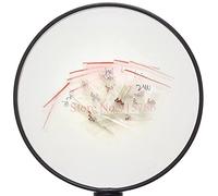Elementi limitatori di corrente 13valuesx10PCS = 130PCS 0.5W Regolatore 9.1V-33V 1/2w Zener Diode Component Kit assortito Pacchetto