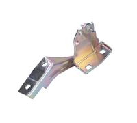 Elemento, cofano motore BLIC 6003-00-0385P