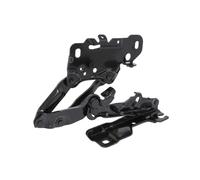 Elemento, cofano motore BLIC 6802-00-0098452P