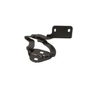 Elemento, cofano motore BLIC 6802-00-0518451P