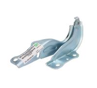 Elemento, cofano motore BLIC 6802-00-3754451P