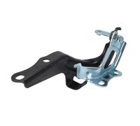Elemento, cofano motore BLIC 6802-00-8115451P