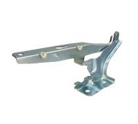 Elemento, cofano motore BLIC 6802-00-9508451P