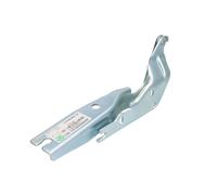 Elemento, cofano motore BLIC 6802-00-9589451P