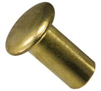 Elemento di fissaggio difficile da trovare 014973224967 Rivetti tubolari 1/8 x 1/4 pezzo - Oro 72