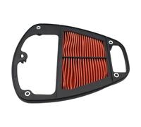 Elemento filtrante del filtro dell'aria delle parti del motociclo Hfa2919