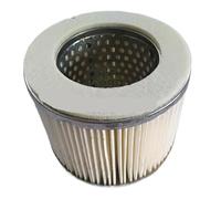 Elemento filtrante for pompa a vuoto, elemento filtrante 80E100E140E160E250E(ZBW60 80F)