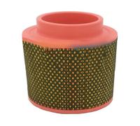 Elemento filtro aria 42855429 39588470 compatibile con compressore d'aria Ingersoll Rand ML22