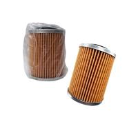 Elemento filtro olio adatto for CFMoto 400 500 600 800 X8 U8 Z8 0800-011300-0004 0800-011300 0800-011300-00030 0800-011300-0001(2 PCS)
