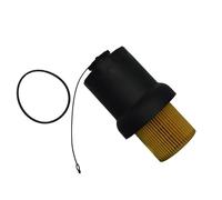 Elemento filtro olio Tappo del filtro olio 07K115408,07K115466,06D115562,06D115466 per VW per Jetta Beetle Rabbit MK5 MK6 2.5 2006-14 Sostituzione(Cover and element)