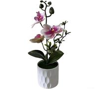 Elemento floreale artificiale basato sulla morfologia della Phalaenopsis per l'ammorbidimento spaziale in interni angolari o con superfici dure (F)