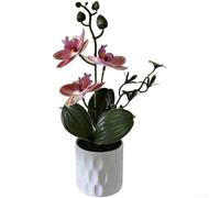 Elemento floreale artificiale basato sulla morfologia della Phalaenopsis per l'ammorbidimento spaziale in interni angolari o con superfici dure (D)