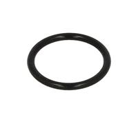 Elemento, guida comune BOSCH F 00V C38 038