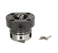Elemento pompa carburante DELPHI 7189-376L-12B1