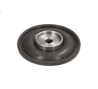 Elemento pompa carburante DELPHI 7243-006-12B1