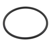 Elemento, pompa common rail BOSCH 1 460 C15 005