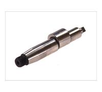 Elemento, pompa common rail BOSCH F 00N 200 007