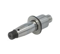 Elemento, pompa common rail DELPHI 28426153