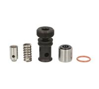 Elemento, pompa common rail DELPHI 7135-480A