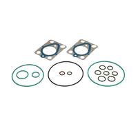 Elemento, pompa common rail DELPHI 7135-553