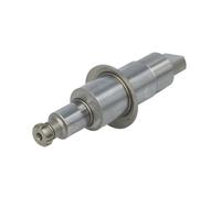 Elemento, pompa common rail DELPHI DIESEL DEL28393560