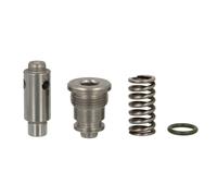 Elemento, pompa common rail DELPHI DIESEL DEL7135-525
