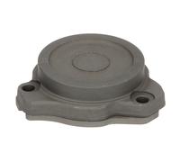 Elemento, pompa common rail VDO A2C5336708980