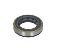Elemento, pompa di serie BOSCH H 146 601 070K