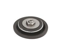Pompa ad alta pressione Diesel biologico DEL7243-006 DELPHI