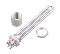 Elemento Riscaldante 12V Acqua Ad Immersione 1 Pollice BSP DN25 100W 200W 300W 400W 600W Riscaldatore Tubolare Solare Elettrico(As the picture shown,12V 100W)