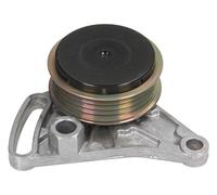 ELEMENTO TENDITORE INA AUDI A4 SKODA SUPERB VOLKSWAGEN PASSAT 531030910