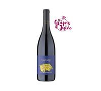 ELENA WALCH LUDWIG PINOT NERO 2022 VINO ROSSO ALTO ADIGE DOC