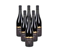 Elena Walch Merlot Alto Adige DOC 2025 - Vino Rosso 4500 ml